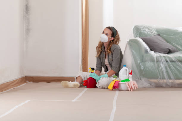 Reliable Mold Remediation contractor in Columbus, TX by WQB Mold Removal
